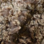 Sheep to Sweater Sunday n° 177 : Shearing 2016