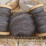 Sheep to Sweater Sunday n° 118 : This Week’s Spinning