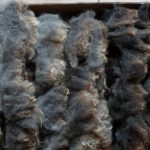 Sheep to Sweater Sunday n° 150 : One Fleece — Many Shades of Grey