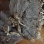 Ouessant Wool 101, n° 8 : Reading Wool : An Open Book Test