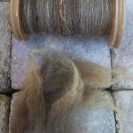 Sheep to Sweater Sunday n° 103 : Spinning From the Lock