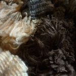 Ouessant Wool 101, n° 1 : Introduction