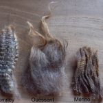Ouessant Wool 101, n° 6 : The Beauty of Crimp